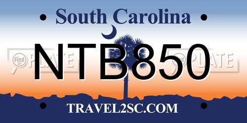 NTB850 South Carolina License Plate
