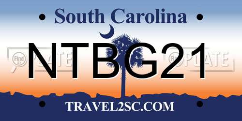 NTBG21 South Carolina License Plate