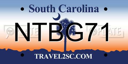 NTBG71 South Carolina License Plate