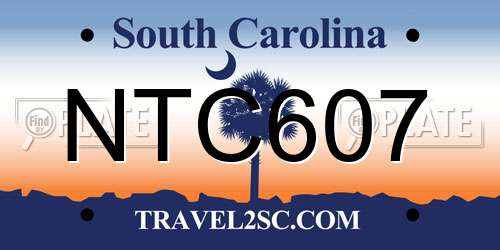 NTC607 South Carolina License Plate