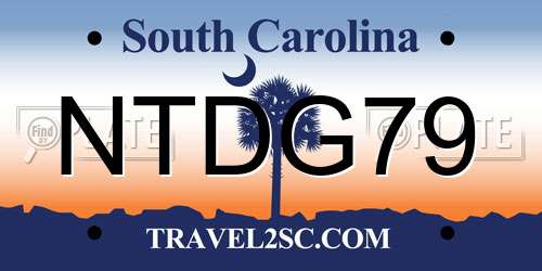 NTDG79 South Carolina License Plate