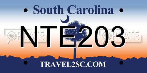 NTE203 South Carolina License Plate