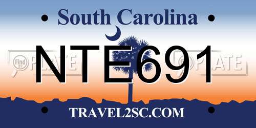 NTE691 South Carolina License Plate