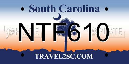 NTF610 South Carolina License Plate