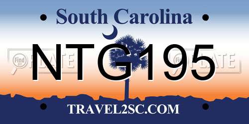NTG195 South Carolina License Plate