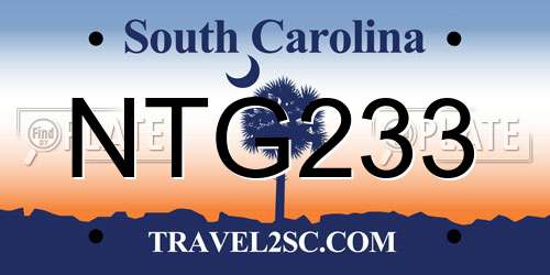 NTG233 South Carolina License Plate