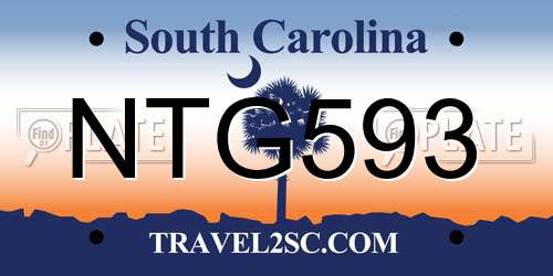 NTG593 South Carolina License Plate