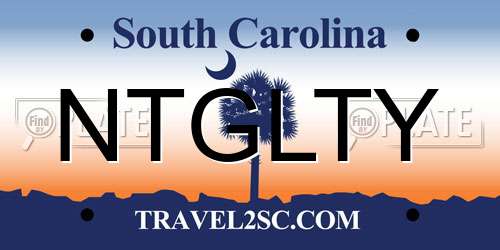 NTGLTY South Carolina License Plate