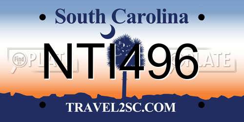 NTI496 South Carolina License Plate