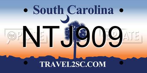 NTJ909 South Carolina License Plate