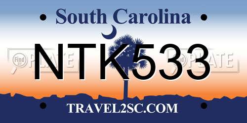 NTK533 South Carolina License Plate