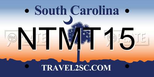 NTMT15 South Carolina License Plate