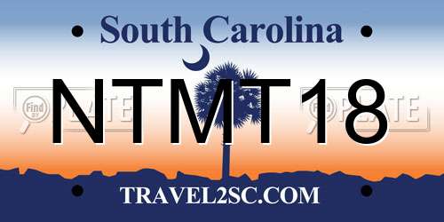 NTMT18 South Carolina License Plate