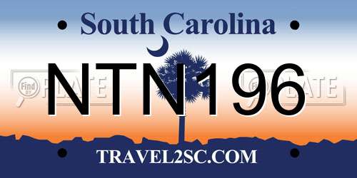 NTN196 South Carolina License Plate