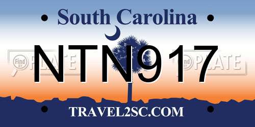 NTN917 South Carolina License Plate