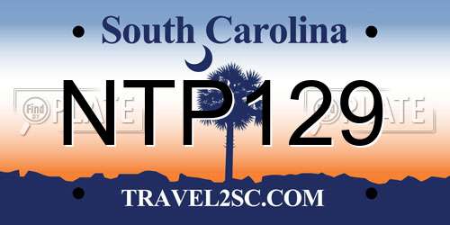 NTP129 South Carolina License Plate