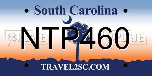 NTP460 South Carolina License Plate