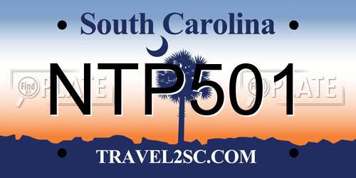 NTP501 South Carolina License Plate