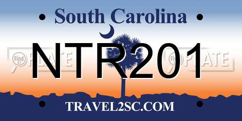 NTR201 South Carolina License Plate