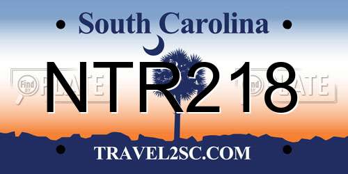 NTR218 South Carolina License Plate