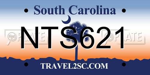 NTS621 South Carolina License Plate