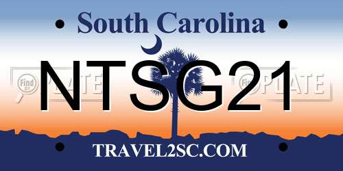 NTSG21 South Carolina License Plate
