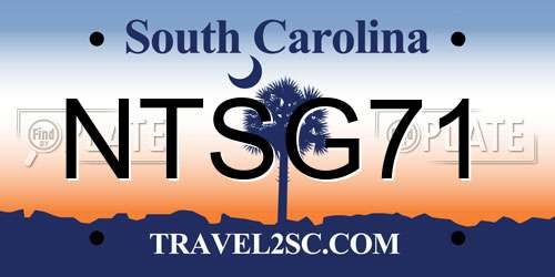 NTSG71 South Carolina License Plate