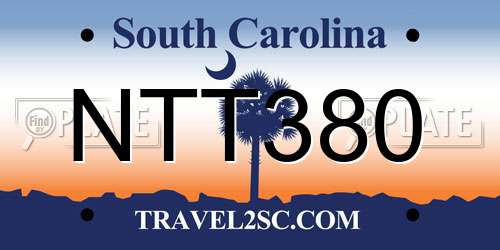 NTT380 South Carolina License Plate