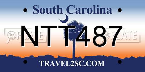 NTT487 South Carolina License Plate