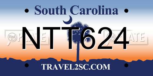 NTT624 South Carolina License Plate