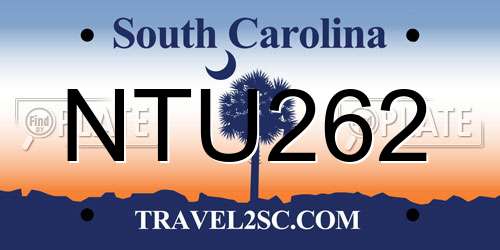NTU262 South Carolina License Plate
