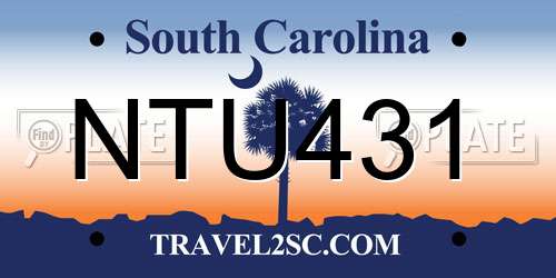 NTU431 South Carolina License Plate
