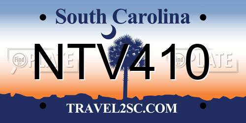 NTV410 South Carolina License Plate