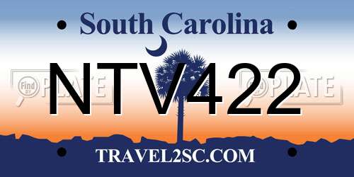 NTV422 South Carolina License Plate