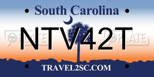NTV42T South Carolina License Plate