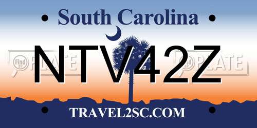 NTV42Z South Carolina License Plate
