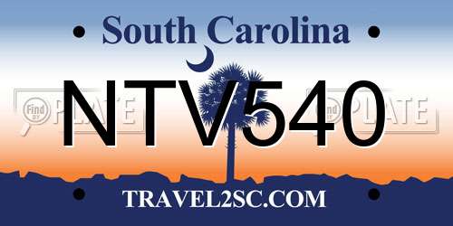 NTV540 South Carolina License Plate