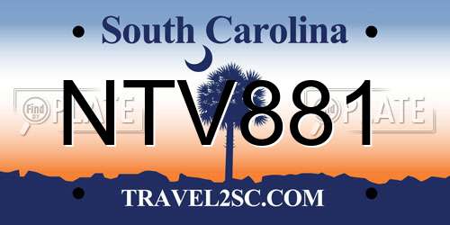 NTV881 South Carolina License Plate