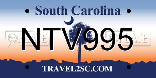 NTV995 South Carolina License Plate