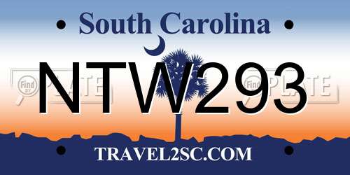 NTW293 South Carolina License Plate