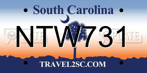 NTW731 South Carolina License Plate