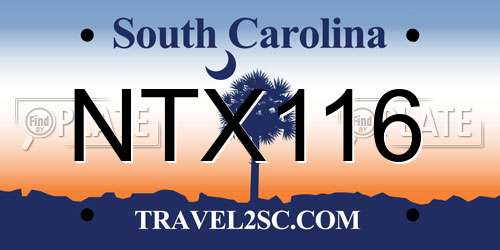 NTX116 South Carolina License Plate