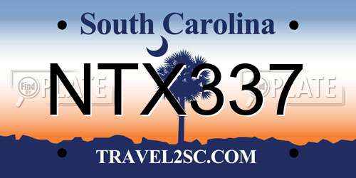 NTX337 South Carolina License Plate