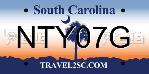 NTY07G South Carolina License Plate