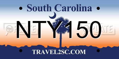 NTY150 South Carolina License Plate