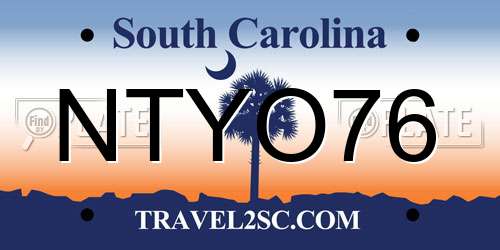 NTYO76 South Carolina License Plate