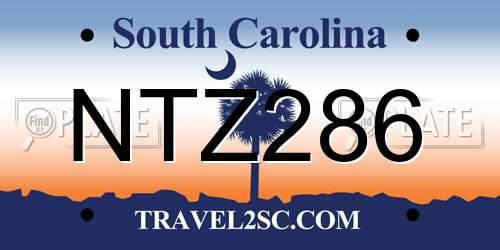 NTZ286 South Carolina License Plate