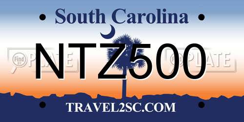 NTZ500 South Carolina License Plate
