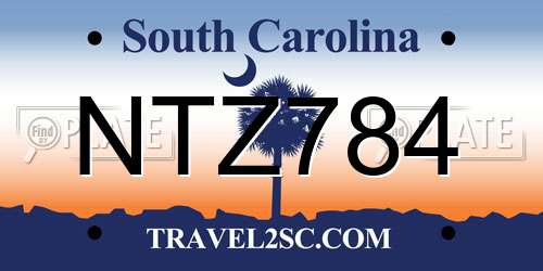 NTZ784 South Carolina License Plate