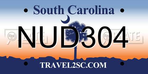 NUD304 South Carolina License Plate